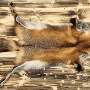 Achat de peau de renard roux Québec Canada