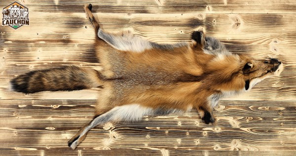 Achat de peau de renard roux Québec Canada