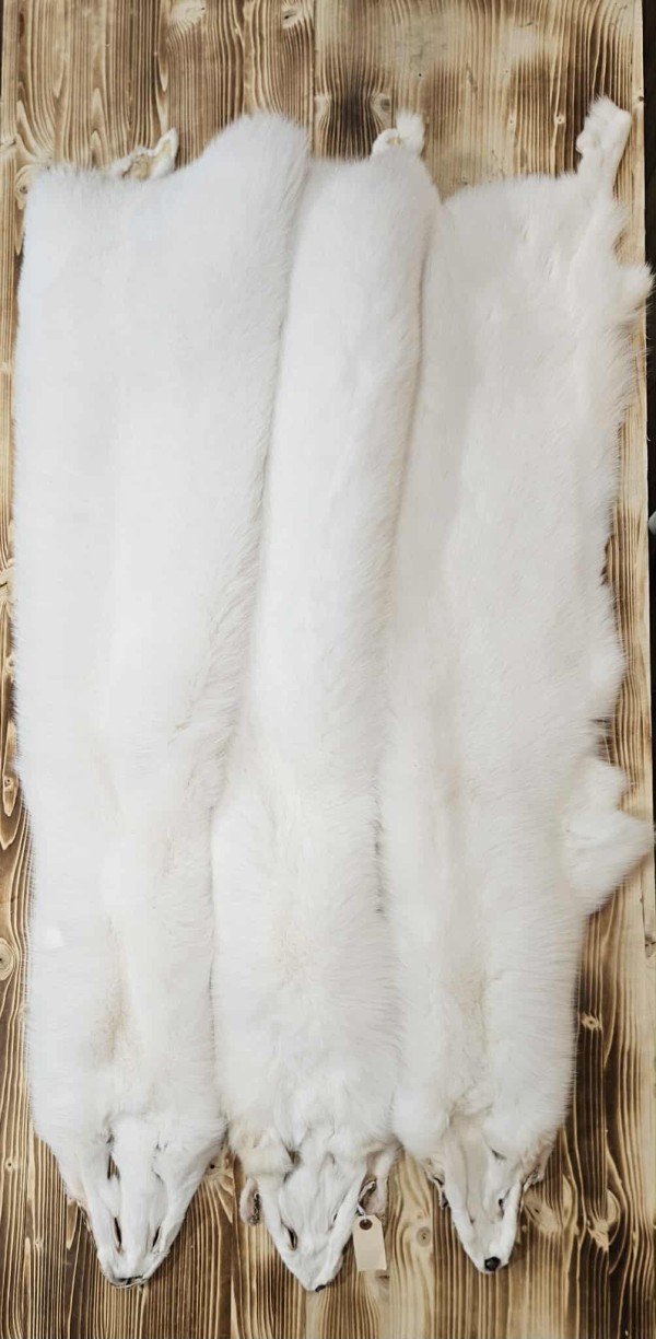 Achat Vente peau renard élevage couleur shadow Québec Canada